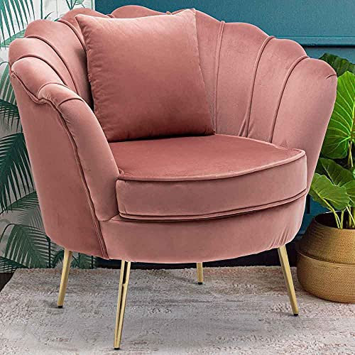 BAKAJI Sessel, Relaxstuhl, Bezug aus Samt, Beine aus Metall, Farbe Gold, gepolstert, modernes Design, gesteppt, große Rückenlehne mit Muschel, Größe 8 x 77 x 84 cm (Rosa)