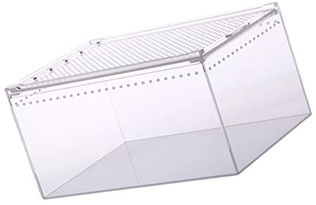 Mipcase Transparente Acryl Reptilien-futterbox Reptilien-zuchtbox Terrarium-lebensraum Futterbox Für Spinnen Kleine Haustiere Wasser Land Umgebungen