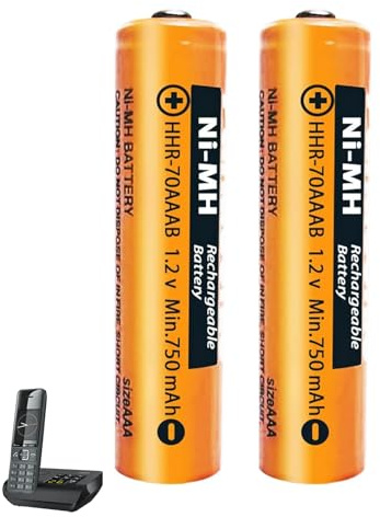 Lot de 2 Piles Rechargeables NIMH (1,2V) 750 mAh pour téléphone sans Fil Gigaset, AAA/Micro Batteries Rechargeables pour Panosonic