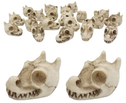 zjhukfmc Decorative Stones, Plant Stones, Twenty Polished Dragon Skull Design Accessories for Garden, Landscaping, Indoor, Outdoor