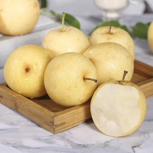 semillas resistentes del peral - bancales elevados variedades antiguas 100pcs