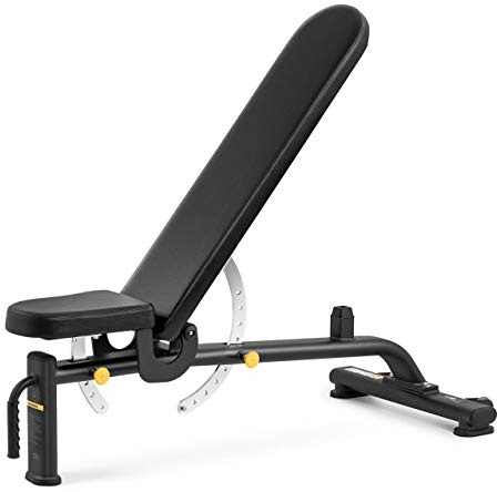 Gymrex sit-up bänk lutning nedgångs bänk träning träning justerbar säte/rygg 135 kg GR-AB 250 (pulverlackerat stål, PU imitation läder, 9 inställningsnivåer)