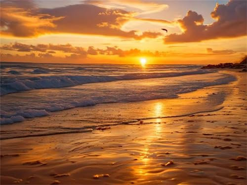 Malen Nach Zahlen Erwachsene Sonnenuntergang am Strand Malen Nach Zahlen Bild, DIY Malen Nach Zahlen Kinder Ölgemälde Set für Anfänger mit 3-Pinseln und Acrylfarbe für Home Wand Dekor 60x80cm I-9563