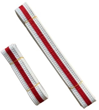 Martial Arts Kids White belt with Red stripe, Karate, Taekwondo, Judo, Kickboxing, Size 150cm (Kids 150cm)