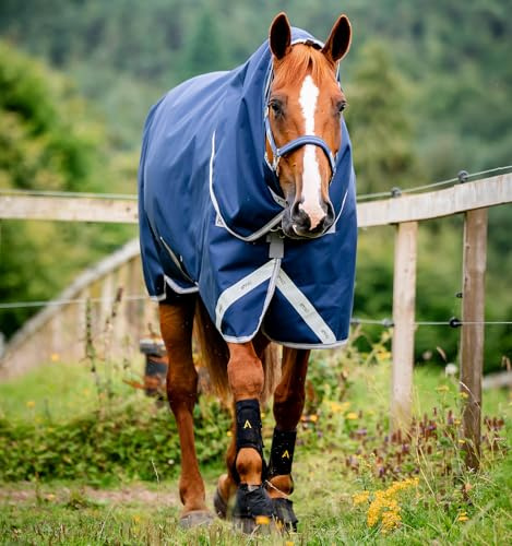 Horseware Amigo 1200D Original (Bravo 12) Turnout Plus 50g Weide Decke Navy/Titanium Grey & Silver