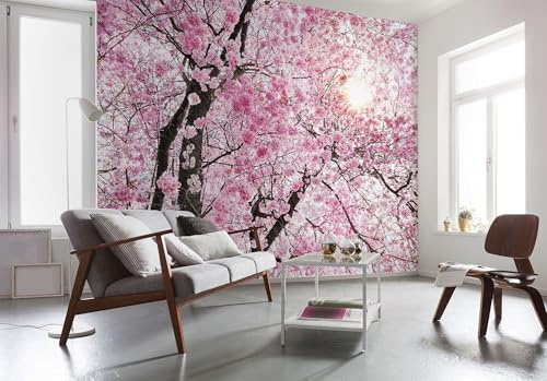 Komar X8-046 Fotomural, Rosa/marrón/Blanco, 400 x 260 cm (Breite x Höhe)