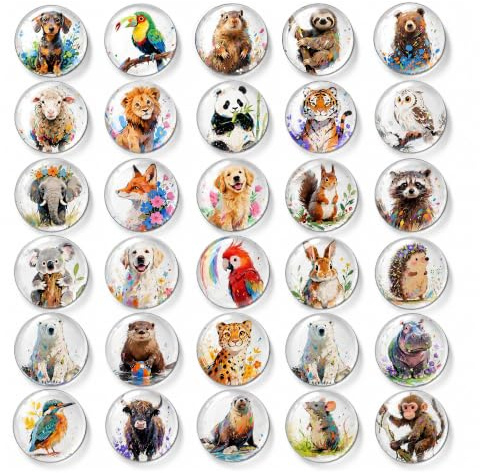 BIROYAL 30 STK. Magnete Kinder - 3D Kühlschrankmagnete für Kinder - Tier Magnete für Magnettafel, Kühlschrank, Whiteboard, Pinnwand - Kühlschrankmagnet - Geschenke für Kind
