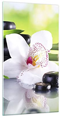 Bilder auf Glas blume orchidee Glasbild 45x80cm Wandbilder Dekoration Wohnzimmer Schlafzimmer Küche Deko Klein Wanddeko Bild im Glas Wand Kunstdruck Art Modern Wall Decor Glasdruck GPA45x80-3659