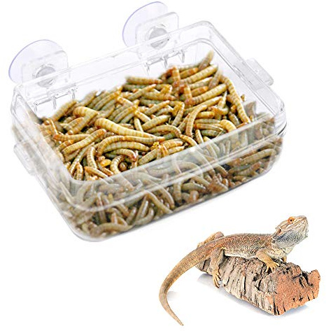 Alimentador de Reptiles, Transparente Antideslizante con Ventosa y Compartimento Separado para Gusanos, comedero para Serpientes Geckos Camaleones Iguanas y lagartijas
