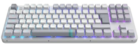 Dark Project ALU87A DAYLIGHT Tastiera meccanica da gioco | ISO multilingue | Hot-Swap | Interruttori ingrassati G3MS Zircon Speed | Stabilizzatori ingrassati | Supporto con guarnizione flessibile |