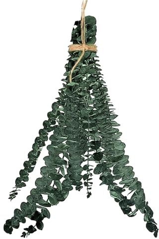 Eucalipto essiccato - 10 steli di eucalipto conservati | Fiori secchi purificanti all'aria | Disposizione floreale del soffione doccia | Bundle per doccia del bagno e rami freschi