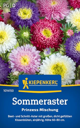 Kiepenkerl Sommerastersamen Prinzess Mischung 1014150, Sommerblumensaat | Wuchshöhe 60 bis cm, Inhalt für 70 Pflanzen, als Schnittblume, Aussaat ab Saatbeet, einjährig