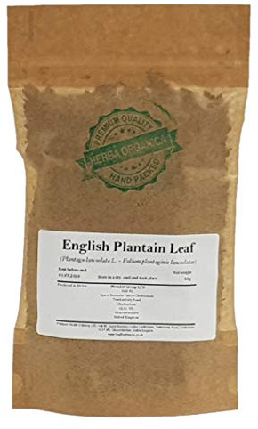 Herba Organica Feuille de Plantain Lancéolé Tisane - Plantago Lanceolata L - English Plantain Leaf Tea (50g)