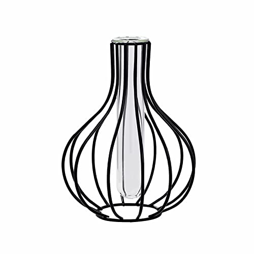 MODUDY Florero Metálico Negro con Marco de Metal y Tubo de Ensayo de Vidrio Transparente para Planta Hidropónica - Decoración de Escritorio