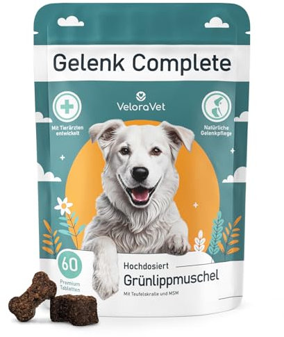 VeloraVet Grünlippmuschel Gelenktabletten Hund – HOCHDOSIERT mit Grünlippmuschelpulver, MSM, Teufelskralle, Glucosamin & Kollagen – Keine Kapseln, hohe Akzeptanz – Gelenk- & Knochenschutz – 60 Stück