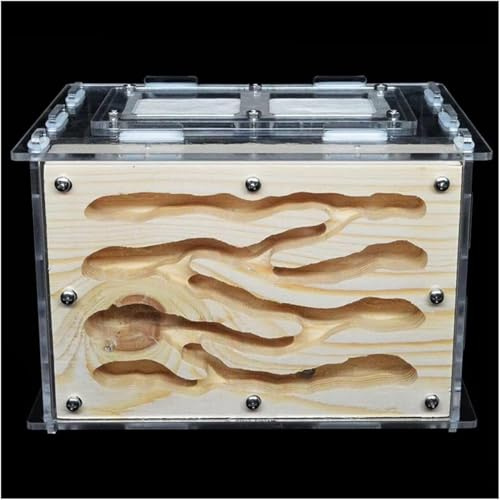ININOSNP Acrylsäure-Ameisennest-Burg DIY Ameisenhaus Insektenhabitat Acryl Holz Ameisenfarm Öko-Werkstatt Villa mit Fütterungsbereich Ameisennest Haustier Ameisenhügel Schloss