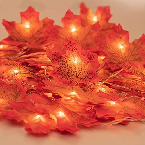 Fall Garland with Lights, Fall Maple Leaves String Light, 6.56ft /20 Led Maple Fairy Light, 3AA Battery (Not Included) Powered Led Maple Garland Harvest Autumn Leave Light for Halloween Decoration