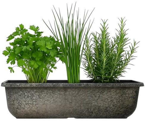 Divas World 24 Inch Window Box Planter Grey Clay Effect 60cm Long Trough Plant Pot Lightweight Durable Plastic 13.6L Capacity for Flowers Herbs Vegetables Outdoor Balcony Railings Patio Use (1)