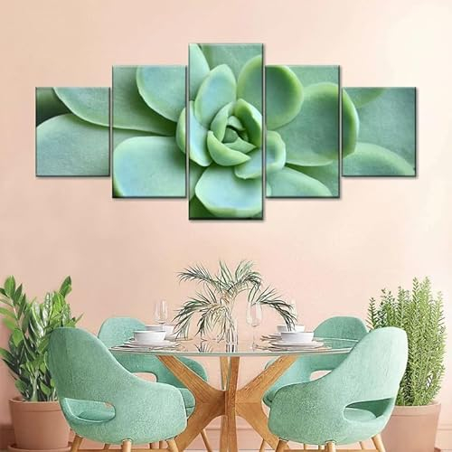 Leinwand Bilder 5 Teilig Echeveria-Sukkulente Wandbilder Wohnzimmer Modern Bilder, Poster, Kunstdrucke Büro Flur Bad Küchebilder -Ungerahmt
