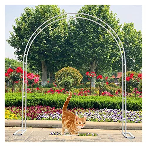 Arche de jardin pergola en métal pour plantes grimpantes, décoration de mariage avec finition résistante aux intempéries