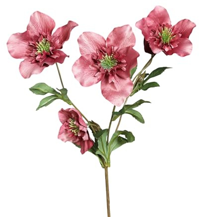 Seidenblumen Roß Christrosenzweig 68cm DP Kunstblumen künstliche Christrose Helleborus Schneerose Blumen Pflanzen (Rosa-Pink)