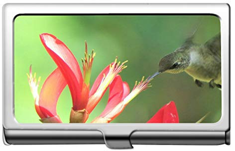 Professionelle Visitenkartenetui aus Edelstahl, Kolibri fliegen und füttern rote Blume Visitenkartenetui