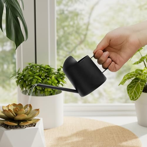 Bamworld Liten vattenkanna inomhus/utomhus växt svart metall rostfritt stål lång spoutt blommor vattenkanna för hus trädgårdsväxter 30 cl vattenflaska söt dekorativ för Bonsai