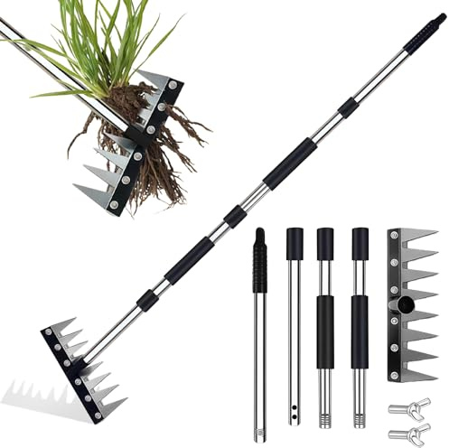 Garden Rake, Manganese Steel Rakes for Gardening, 155cm/5FT Garden Rake Heavy Duty, 8 Teeth Metal Weeding Rakes with Stainless Steel Handle, for Loosening Soil Leveling Lawn