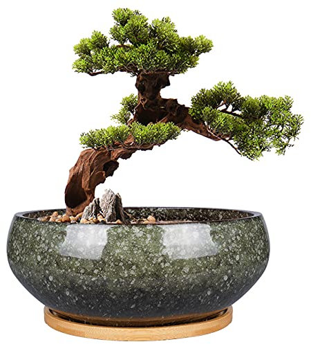 EPFamily Vaso per bonsai in ceramica, 20 cm, smaltato, poco profondo, con foro di drenaggio e piattino in bambù, per piante da interno, verde