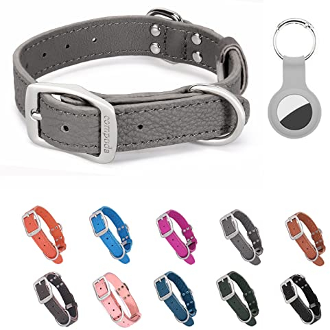 Compuda Hundehalsband aus Leder mit Halterung, kompatibel für Airtag, wasserdicht, geruchsfrei, langlebige Schnalle, Hundehalsband für kleine, mittelgroße und große Hunde