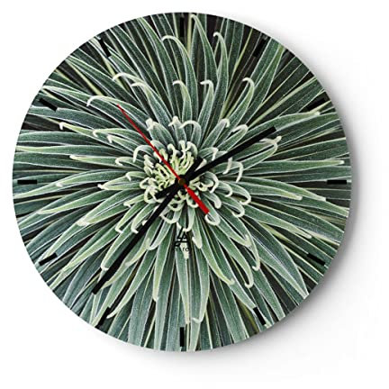 Modern Wanduhr Agave Grün Pflanze 30x30cm Rund Klein Wand Uhr Glas Analog Zimmeruhren Küche Büro Wohnzimmer Glasuhr Wall Clock Dekoration Design Wanddekoration Küchenuhr C3AR30x30-4905