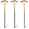 AOZUO 3Pcs Slim Soft Fan Brush, Fan Shape Makeup Brushes for Highlighter, Fluffy Packing Brush Facial Brushes Applicator for Esthetician Cosmetic Mud Cream Glycolic Peel Masques(3Pcs)