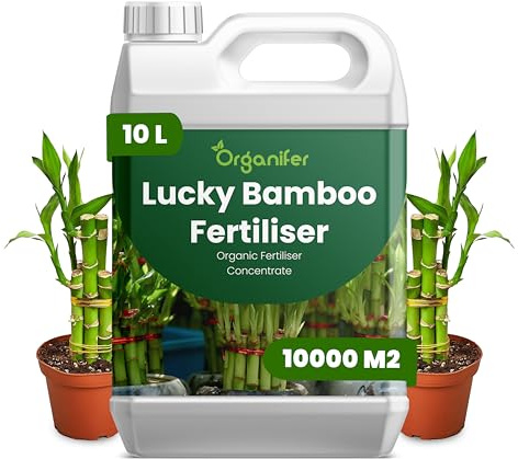 Engrais liquide organique 10L pour Bambou chanceux – vitalité et floraison abondante – Organifer