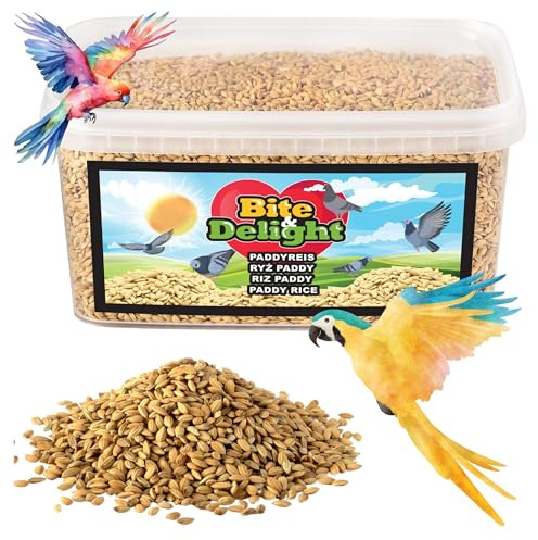 Bite & Delight 2 kg Riz Paddy – Nourriture pour Oiseaux Sauvages, Perroquets, Pigeons et Faisans – Aliment Naturel sans Additifs Artificiels