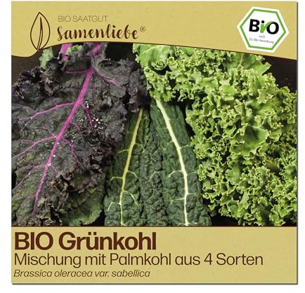 Samenliebe BIO Grünkohl Samen | bunte Mischung mit Palmkohl - winterharter 4 Sorten Mix - samenfestes BIO Saatgut