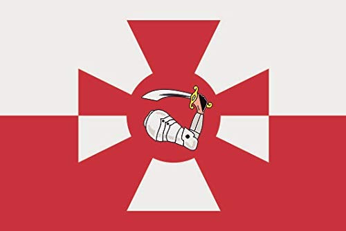 U24 Drapeau de la Pologne de Gösch 20 x 30 cm