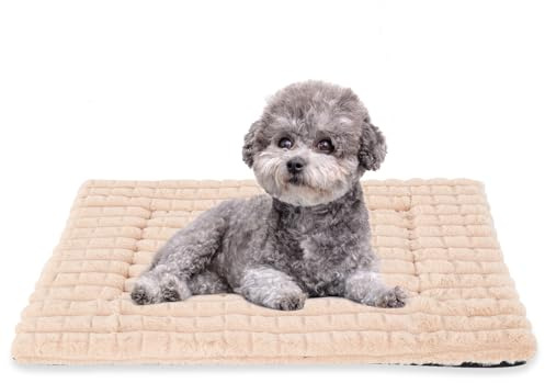 BVAGSS Flauschiges Orthopädisches Hundebett, Waschbar Hundematte, rutschfeste Unterseite, Plüsch Hundekissen Weiche und Warme Hundematte für klein mittel große Hunde XH082 (60x45cm,Aprikose)
