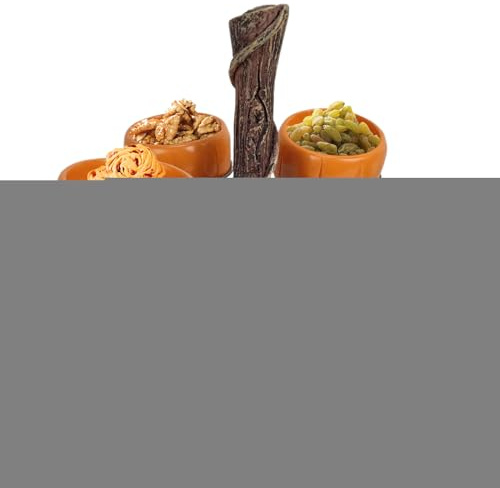 Pumpkin Bowls Halloween Snack Bowl Stand, Witches Broom Dessert Display Tray for Serving Snacks, Salad, Fruit Accessories, Decorations