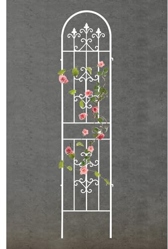 Eisengitter für Kletterpflanzen, gewölbtes Gartengitter aus Eisen zum Klettern von Gemüse, Blumen, Terrassenrosen, Gurken, Clematis, Stützen (Farbe: Weiß, Größe: 180 x 50 cm/70,9 x 19,7 Zoll)