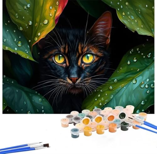 Tier Malen Nach Zahlen Katze Malen Nach Zahlen Erwachsene 50x70cm, DIY Paint by Numbers mit Pinseln und Acrylfarbe Handgemalt Ölgemälde Leinwand für Zimmer Deko, Ohne Rahmen, Geschenk Mädchen Hs-126
