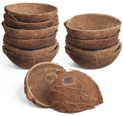 LemonRoad 2 Pcs Natural Coconut Shell Bowl Halves About 2/5 The Size of a Coconut Smooth Bottom for Easy Standing Craft Material Flower Pot Aromatherapy Arrangement Ornament(Hairy)