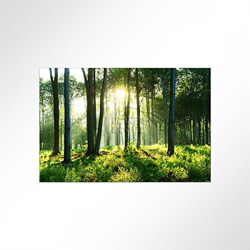LYSEL® Absorberbild - Sonnenaufgang im Wald 100x50x5,5cm - Akustikbild Schallschlucker mit 50mm Schaumstoff aus Basotect® G+