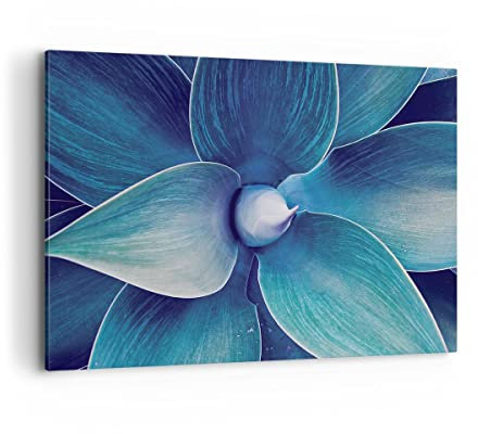 ARTTOR Wandbilder Dekoration Wohnzimmer Agave Blau Blume Bilder auf Leinwand 120x80cm Leinwandbild Schlafzimmer Küche Deko Wand Kunstdruck Art Groß XXL Wanddeko Bild Wall Decor Canvas AA120x80-4972
