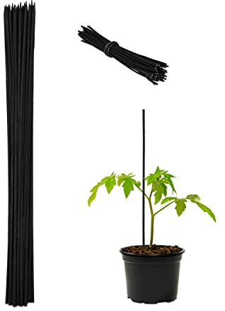 Relaxdays Växtpinne, set om 50, 60 cm, bambu, järn, växtstöd för tomater UVM, för stabilisering, Ø 6 mm, svart