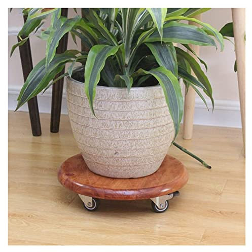 MYVVKIA Macetero Redondo de 32 cm/12,5 Pulgadas para Interior, Paleta móvil con Ruedas giratorias, Ruedas de Goma bloqueables, Paleta para macetas