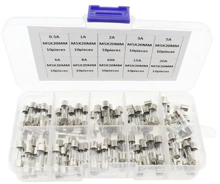 sicherungen 100 Stück flinke Glassicherungen fürs Auto, Glasrohrsicherungen fürs Auto, 0,2–20 A, 0,5–30 A, sortiertes Set for Autolicht, Luftpumpe, Staubsauger
