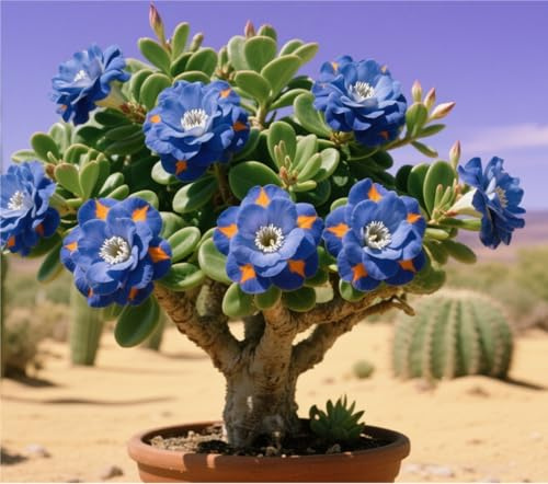 Perenne Rizoma Di Rosa Del Deserto, Resistenti Al Freddo E Alla Siccità, Facile Da Coltivare, Adatto A Primavera E Autunno-1 Rizoma-A