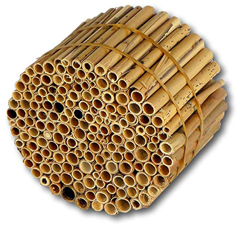 BeeCasa Schilfrohrhalme - Niströhren MEDIUM | Natur Nisthülsen | 11 cm | Schilfhalme Füllmaterial für Insektenhotel & Bienenhotel | Nisthilfen für Wildbienen | Auch zum Basteln & Deko | Hiss Reet