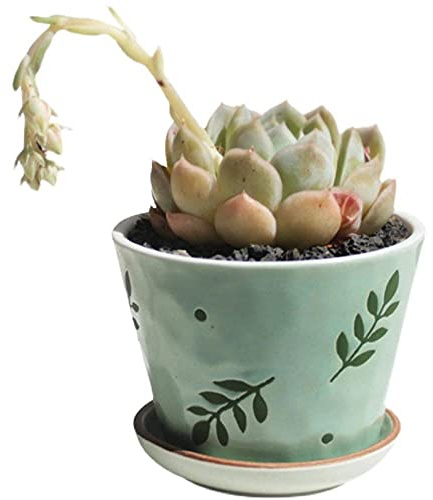 YUNHOME Macetero Cactus Plantas Macetas para Cactus Maceteros Pequeños Pote De Planta De Cerámica Verde Diseño Floral Flor Pots Pieza Central De La Casa con Agujero De Drenaje