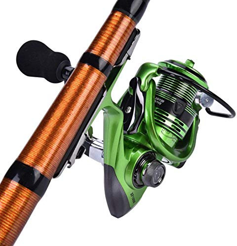 Spinnrollen, Metall Angelrolle Faltbar 13+1 Kugellager Heavy Duty für Süßwasser(Grün XF1000)